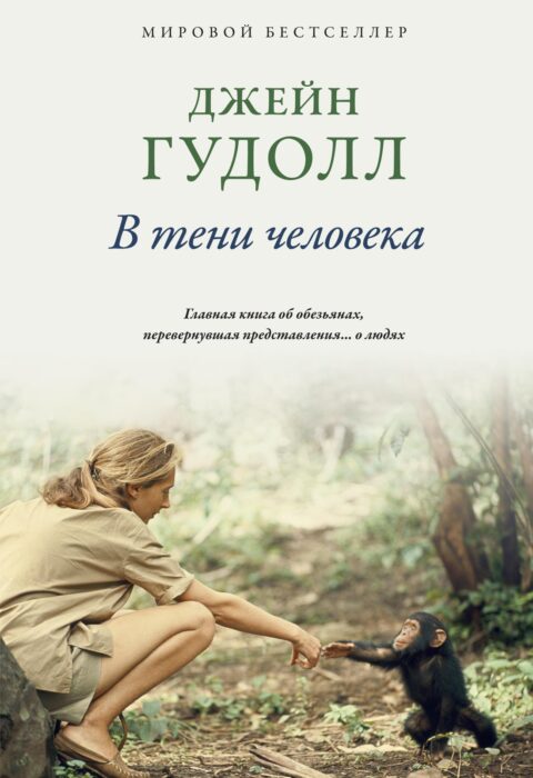 В тени человека