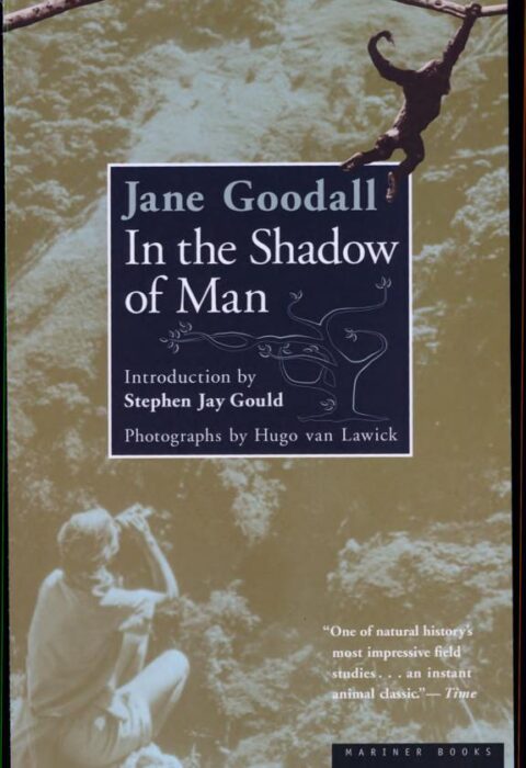 In the Shadow of Man
