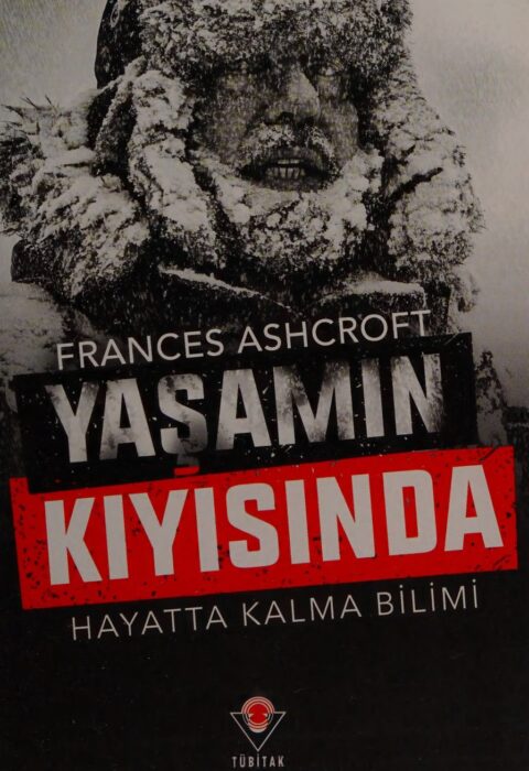Yaşamın Kıyısında