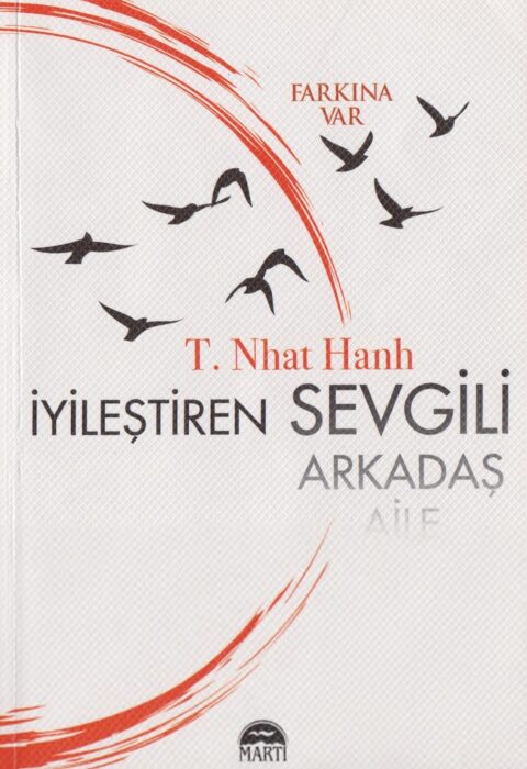 İyileştiren Sevgili